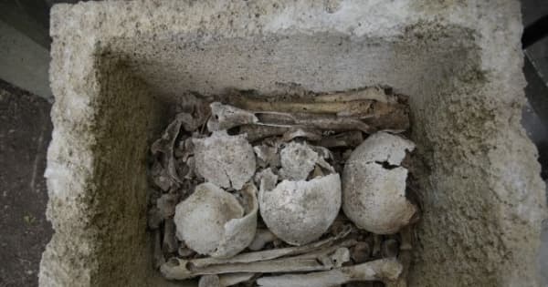 西欧系人骨　南城の古墓群に　1400～1600年代、風葬か