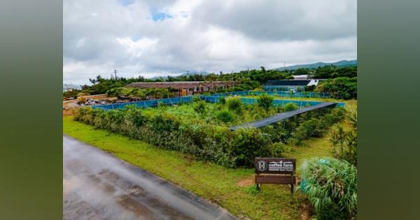 ネスレ、沖縄県の国産コーヒー栽培農場を拡大　新たにうるま市と連携