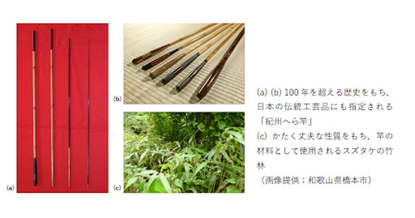 【素朴な疑問】なぜ日本人は竹で釣竿をつくるのか－北海道大学