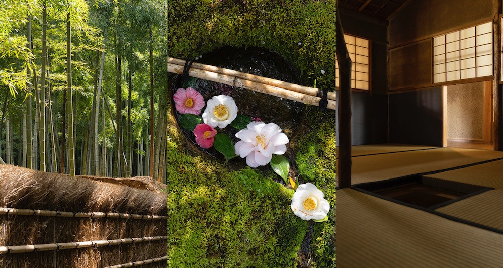 京都の美を訪ねる　竹林や苔庭、そして茶室