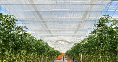 大規模農業工場、むつに進出へ　北海道の法人、100人地元雇用　ICT活用でトマト栽培