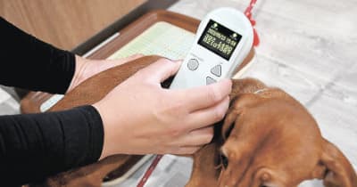 ペットチップで遺棄防止　改正動物愛護法1日施行　業者や飼い主の情報販売時に装着義務化