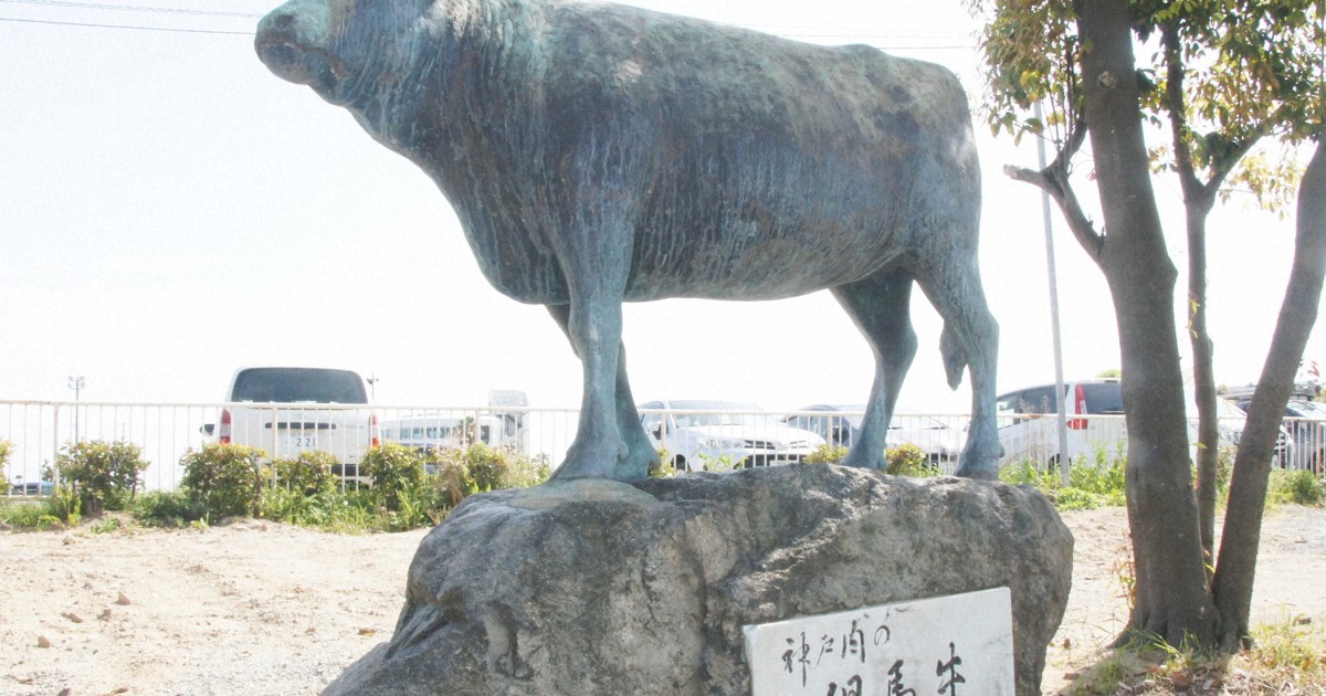 なぜ等身大「但馬牛の像」が須磨海岸に？　神戸ビーフ生んだ黒毛和牛