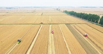 中国河南省、小麦の収穫期を迎える