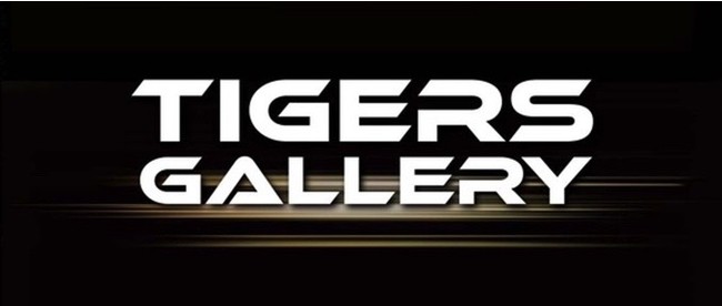 HashPalette、 阪神タイガースのNFTサービス「Tigers Gallery」の基盤に「Palette」が採用