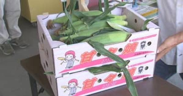 初日は20分ほどで完売　トウモロコシ「甘々娘」販売始まる 　神奈川から購買客も　山梨・市川三郷町