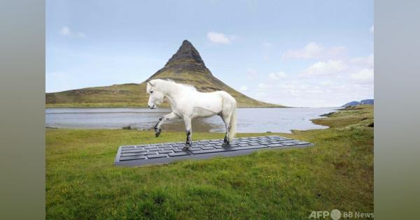 休暇中のメール返信、馬が代行 アイスランド