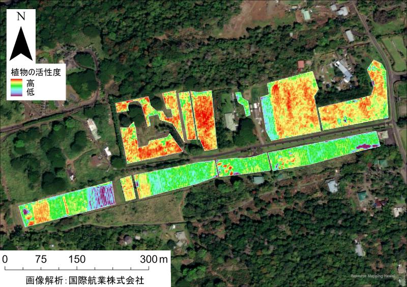 UCC上島珈琲ら、衛星画像で持続可能なコーヒー栽培を推進。遠隔地からの農園管理を目指す