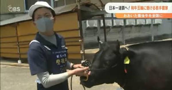 日本一連覇へ！おおいた豊後牛を全国に 和牛五輪にかける若手農家 大分