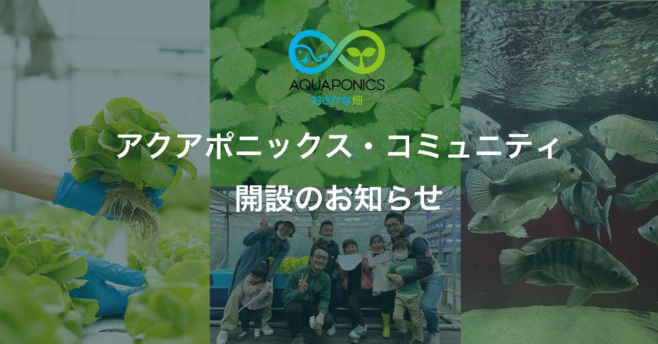 アクポニ、循環型農業「アクアポニックス」の参加型ユーザーコミュニティ「アクアポニックス・コミュニティ」を開設