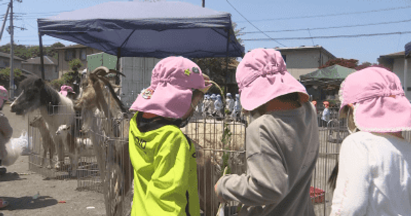 子どもたちが動物とふれあい体験　埼玉県日高市