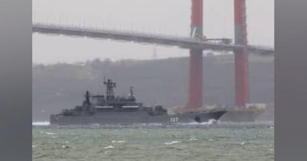 黒海でイルカが大量死　ロシア軍艦の低周波原因か