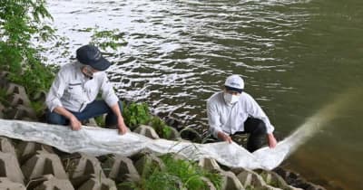 順調な成長願いアユ放流　北上・和賀川淡水漁協