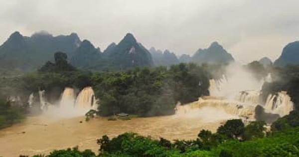 中越国境の滝、増水の影響で黄金色に