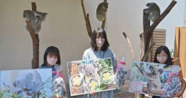 赤ちゃんコアラは「アイ」「ピース」「カナエ」　名付け親の3人が込めた思いは　鹿児島市の平川動物公園