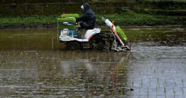 豊作願い田植えに精　きょう「芒種」 九州南部の梅雨入り、まだ先か