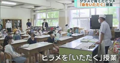 クラス全員で育てたヒラメ「命をいただく」授業　東京・足立区の小学校