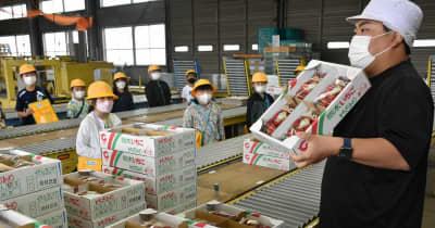 イチゴ摘みやジャム作り　栃木の農業委員が児童に食育活動