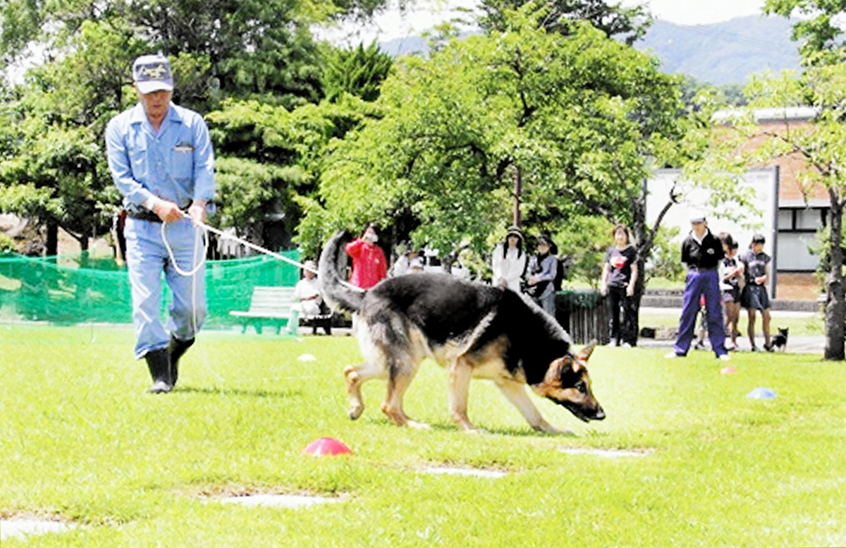 警察犬になれる犬種は？ 誤解が生んだ福井県の犬不足何よりも大切な飼い主、犬の条件とは