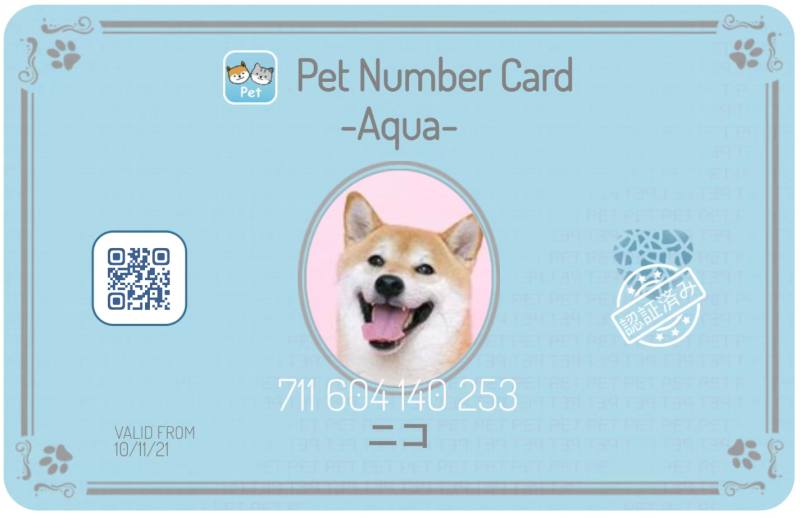 犬や猫の“鼻の紋様”から迷子を特定！ ペットSNSアプリ「Pet」に新機能