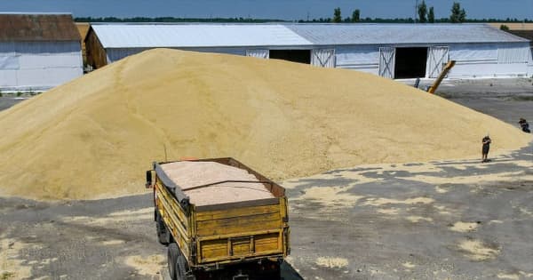 黒海封鎖で滞留するウクライナ産穀物、ロシアが海外へ「輸出」か