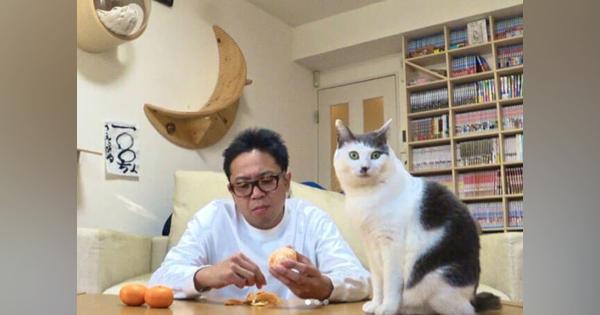 サンシャイン池崎、猫好き獣医師にアプローチでまさかの交際成立!?