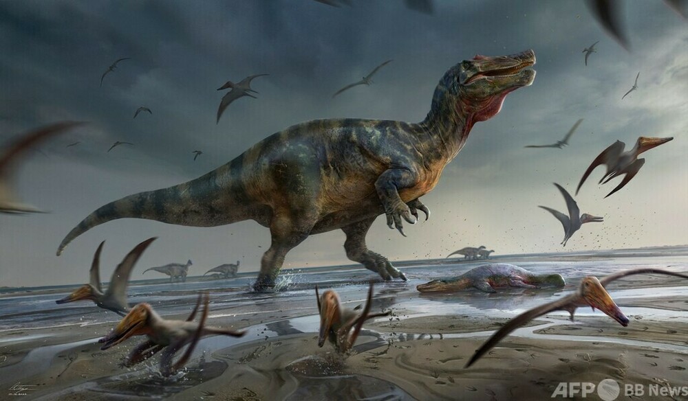 「欧州最大の捕食恐竜」 英化石ハンターが発見