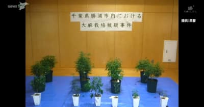 自宅で営利目的で大麻草栽培か 千葉県勝浦市の64歳無職男を逮捕