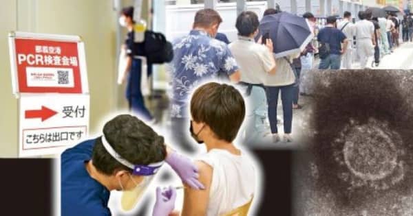 小中校生のいる世帯に抗原検査キット配布へ　沖縄県、8万個を確保