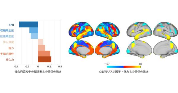 肥満と高血圧と低体力は社会的認知機能の低下を関連している、神戸大などが確認