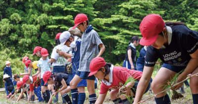 上川口小 里山で田植え、児童31人 ｢街づくり上川｣が協力　八王子市
