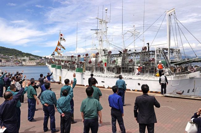 函館のスルメイカ中型船　好漁場の能登半島沖へ　不漁や乱獲、厳しい船出