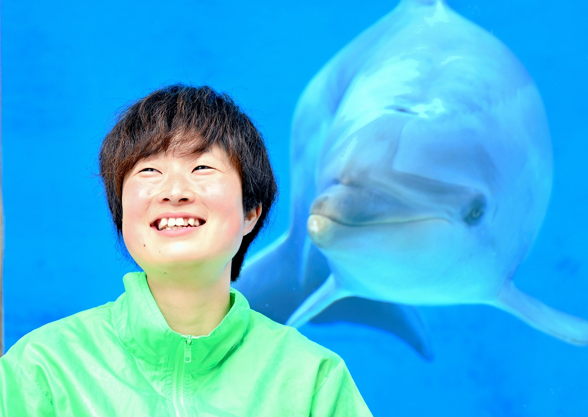 イルカと心通わす10分間24歳女性トレーナー「初心忘れず寄り添いたい」　福井県の越前松島水族館