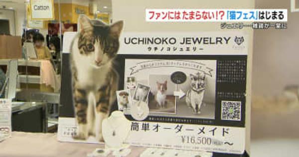 猫好きにはたまらないニャー！熊本市の百貨店で「猫フェス」始まる