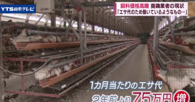 家畜の飼料価格高騰 養鶏業者「かつてない苦境」