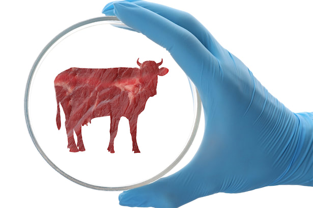 培養肉SCiFi Foodsがゲノム編集技術で製造コストを削減