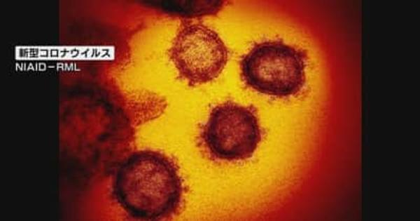 【速報】新潟県で１１８人感染確認　集団感染は２件　新型コロナウイルス