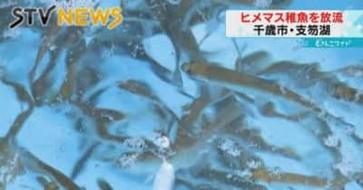 【稚魚放流】北海道・支笏湖の名物「ヒメマス」　漁協が資源確保のために稚魚を放流