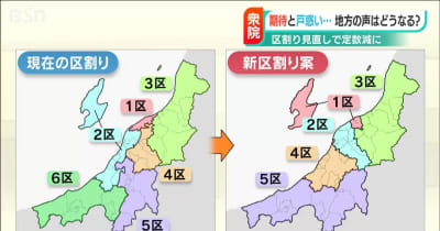 衆院選区割り案　新潟は定数１減　選挙区大幅見直しで戸惑いの声も
