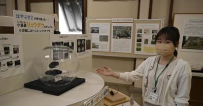 小惑星の砂、バッチリ観察　今治城自然科学館にレプリカ展示　「はやぶさ2」採取