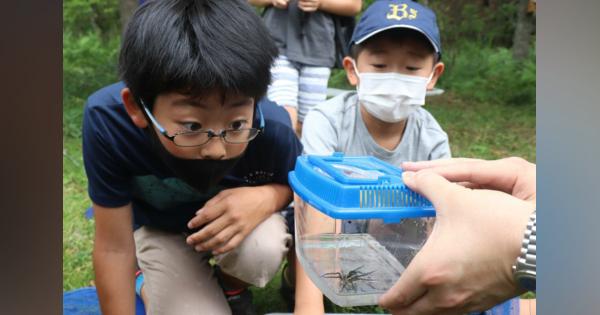 ビオトープの生き物、じっくり観察　絶滅危惧の虫も発見　京都・亀岡