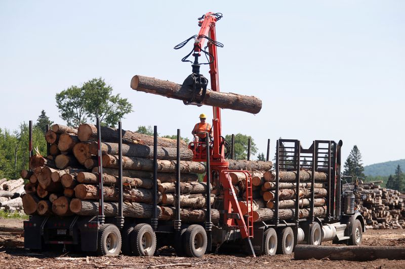 米大統領、カナダ産木材の関税引き下げ検討せず＝財務長官