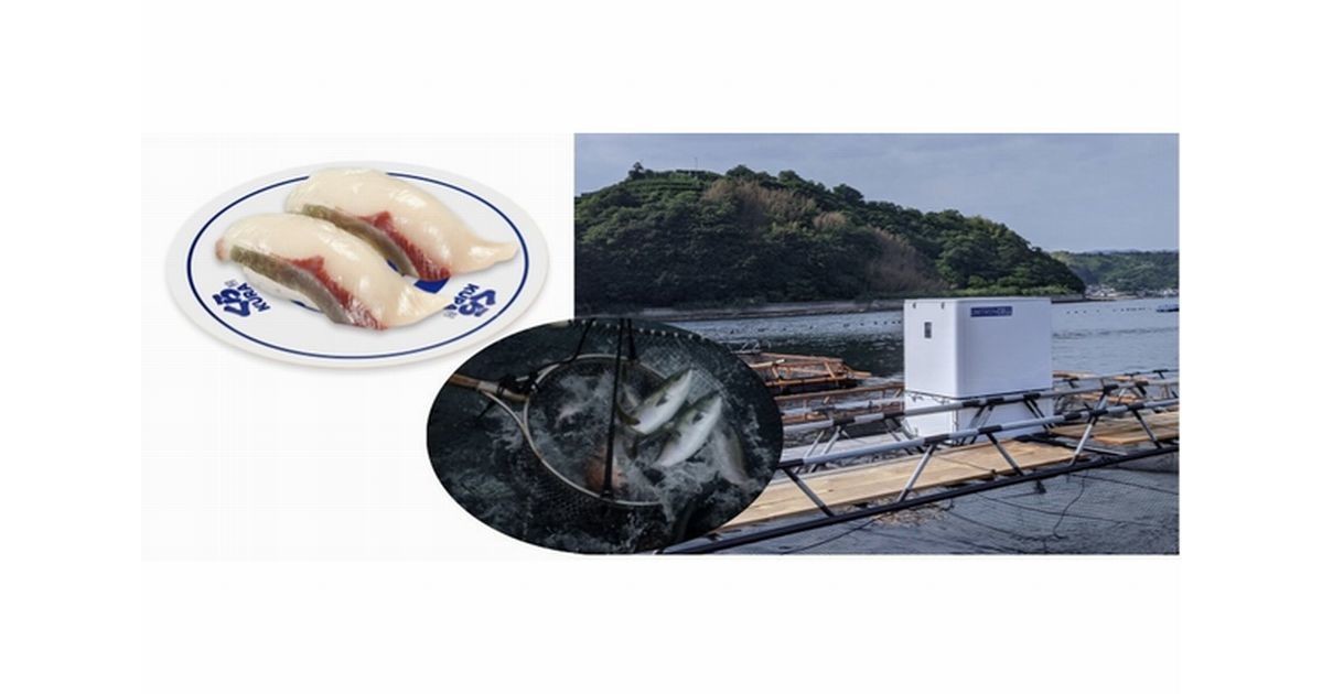 AIスマート給餌機によるハマチ養殖に日本初成功、くら寿司で限定販売