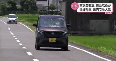 ＥＶ・電気自動車普及は進むのか　 低価格ＥＶが宮崎県内でも販売好調