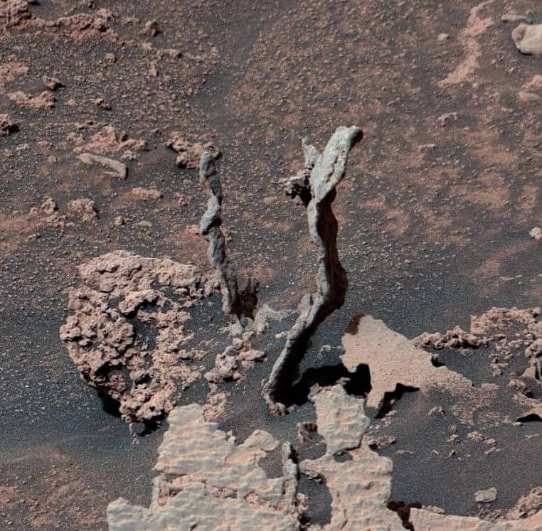 ヘビみたい？ 火星探査車「キュリオシティ」が見つけた不思議な形の岩