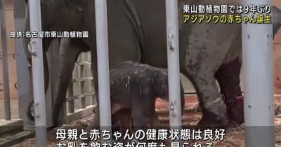 アジアゾウの赤ちゃん生まれる　名古屋・東山動植物園では９年ぶりの出産