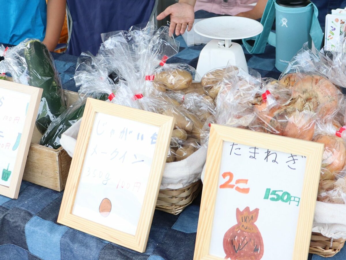「おいしい野菜いかがですか」　子どもら販売体験、京都・城陽