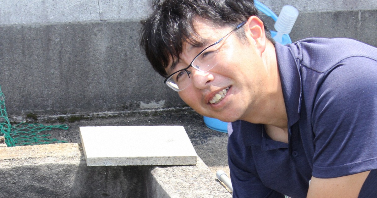 琵琶湖で絶滅危惧の真珠貝、復活計画　東日本に移した固有種戻す
