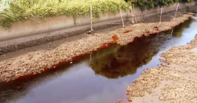千葉県君津市の小糸川の水が赤く変色 現時点で環境基準超える「シアン」不検出