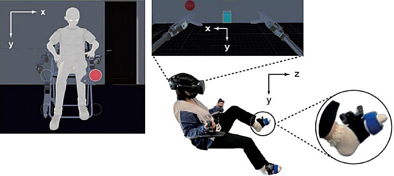 VR空間で腕が増える！東大が捉えた“余剰肢感覚”とは？